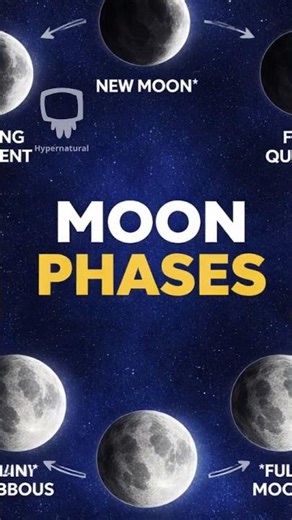 Understanding Moon Phases