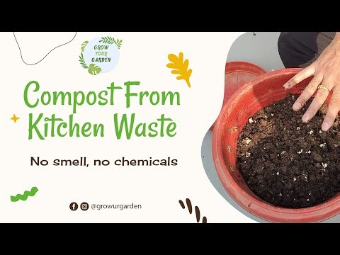 Easy Compost at Home from Kitchen Waste #Gardening #Composting