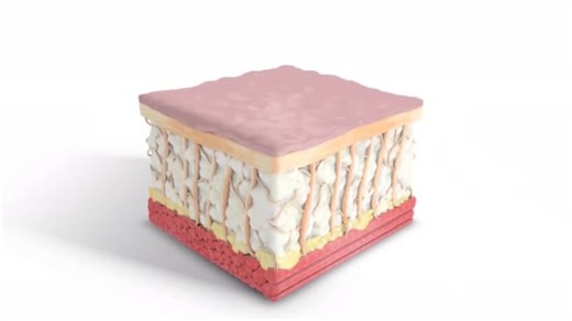 3D Animation of Laser Treatment on Skin Layers