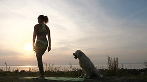 Free Motivation Videos: 4K & HD | No Watermark | Download Now