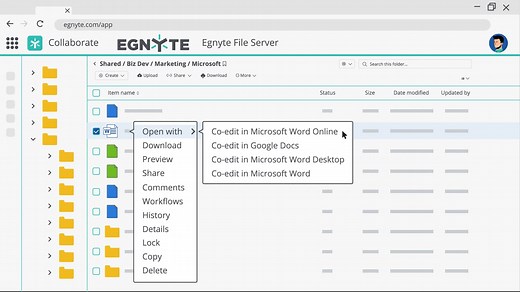 Egnyte + Microsoft Co-editing Integration