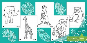 My First Zoo Colouring Pack