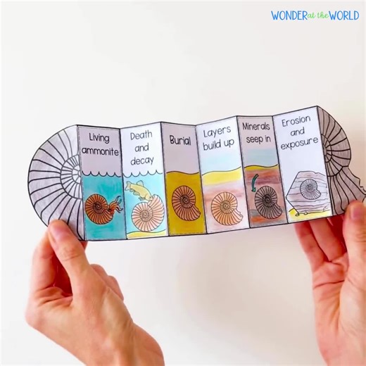 How a Fossil is Formed Foldable Sequencing Activity and Reading Passages for Kids Science Digital Download Cut and Paste - Etsy
