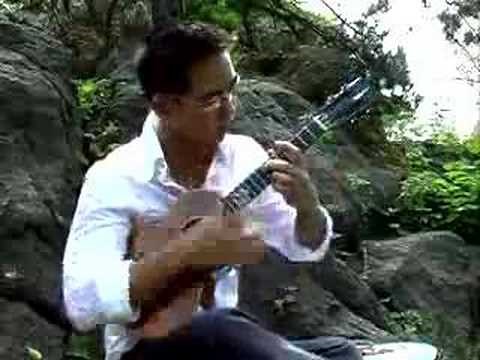 Amazinglly amazing ukulele playing