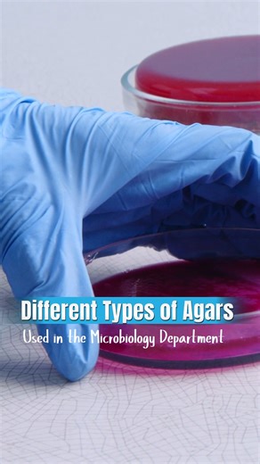 Fast Technology Lab on Instagram