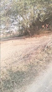 2 दिसंबर 2025