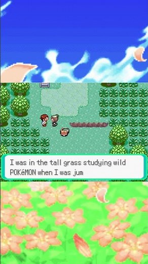 Obtaining a Shiny Torchic in Pokemon Emerald: #shorts #torchic #pokemonemerald