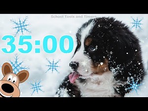 35 Minute ❄️Winter Snow 🐶 Puppy Dog Countdown Timer