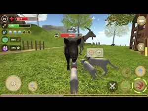 Cat Simulator 2020 #17 (Avelog) | Android Gameplay HD