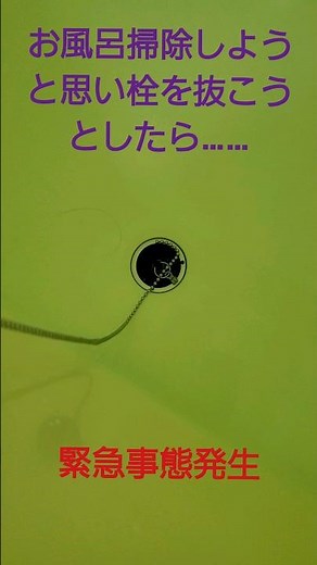 【綺麗な壊れ方】#緊急事態発生#お風呂の栓が#壊れた#お風呂#栓#チェーン#shorts#緊急事態#緊急