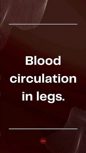 Top Secrets of Blood Circulation in Legs that You Must Know!