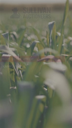 Sullivan Auctioneers, LLC on Instagram: "Get an up-close look before you bid 👀 Join us January 16 from 9AM–2PM for the Ryan Bland Retirement Auction equipment inspection at:📍906 Silver Creek Road | Kampsville, IL 🚜 Preview includes: 🔹 Tractors: JD 8260R (3,048 hours), Kubota MX5400 (175 hours) 🔹 Harvest: JD S780 Combine, 612C Corn Head, Demco Grain Carts 🔹 Planting: JD ExactEmerge 1795 Planter, Great Plains Drill, Seed Tender 🔹 Tillage: Case IH Vertical Tillage & Disk 🔹 Trucks & Trailers