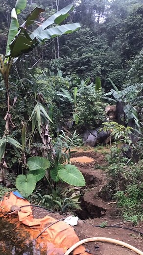“Where Blue Spinel Is Found, Deep in the Mining Grounds” Deep in the forest, the mining site appeared with rough dirt pits, muddy water trickling down the slope, and a few makeshift shelters hidden beneath layers of green leaves. Nothing glamorous — just earth, water, and hard work. Yet this place holds moments more precious than anything. This is where the ground opens up and reveals stones that have slept for millions of years. I watched as water flowed from the mouth of the tunnel, carrying g