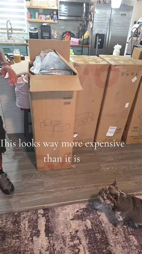 I’m still not over this couch. Big cozy sectional energy without the scary price tag. It came in five boxes, looks insanely gorgeous in my living room, and honestly feels like such a win. If you’ve been waiting for the sign to upgrade your space, this is it. Tap the orange cart and thank me later. @OVIOS OFFICIAL #Ovios #holidayhaul #sectionalcouch #livingroomupgrade #cozyhome