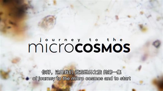 微观世界之旅（journey to the microcosmos）