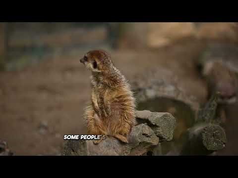 5d Timeline Shift Channeled Message from A A URIEL