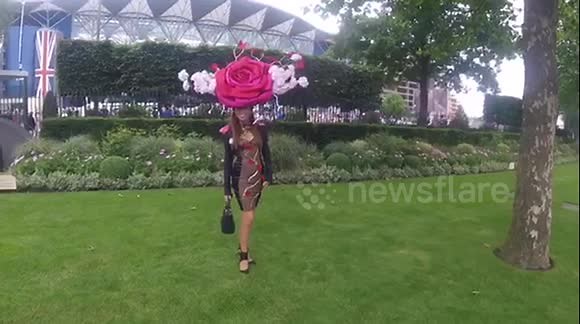 Massive Hat at Ascot