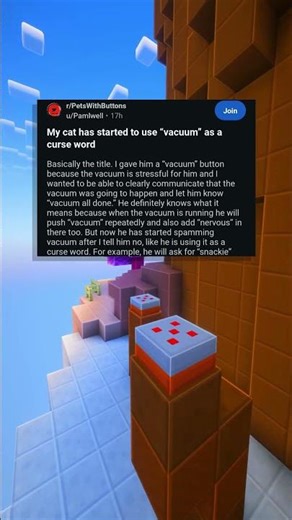 my cat loves his vacum