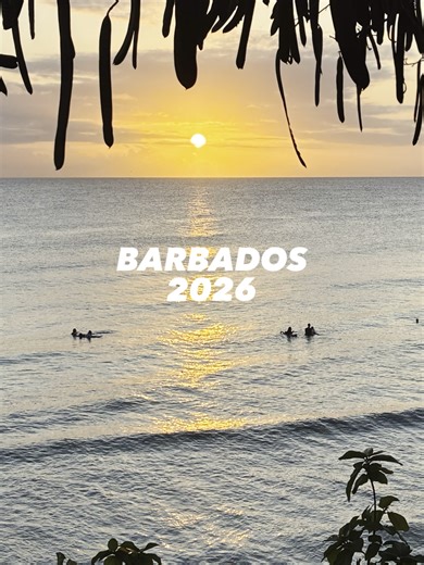 POV: learning sports massage and dry needling in Barbados 🌴☀️ Amazing week with tutors Gerard & Emma delivering Level 3 Sports Massage Foundation Acupuncture & Dry Needling 💪 We’re back in September — DM us if you want in 👀 #foryoupagе #podcastclips #acupuncture #sportsmassage #BARBADOS
