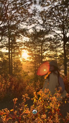 Watching Sunrise at Mt Ulap 🌄 Come and Join Us Our next Hike Event Date April 18, Daytour April 19, Daytour April 18-19,2026 Overnight Free Solo Droneshots for more Details DM #foryou #hiking #joiners #mtulap