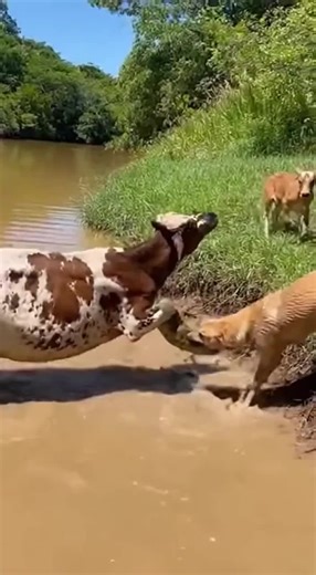 Achieve Success in Your 1 Million Audition Journey