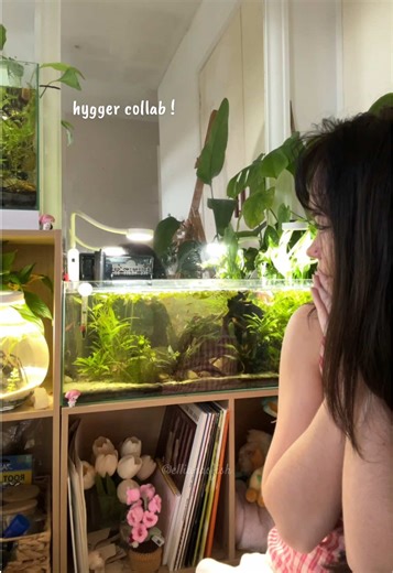 lets setup my new aquarium filter from @Hygger.Aquarium ! 🌱 i love this filter . 🌷 thank you so much hygger !! Product: hygger HG149 Adjustable Water Flow HOB Filter https://www.amazon.co.uk/dp/B0D53XBFTZ?th=1 🌸🌸🌸 #bettafish #fishtank #fishkeeping #betta #aquarium