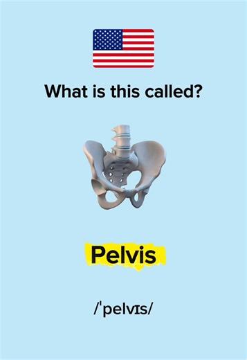 Learn Body Parts in English for Beginners