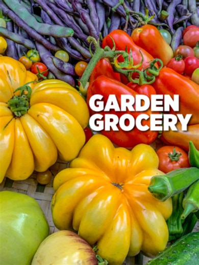 This is exactly what our “The Compact Garden” book is all about, growing big harvests in small spaces. Every vegetable here came from careful planning, smart spacing, and making the most of what we have. If you've ever thought