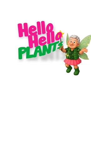 🌿𝘌𝘷𝘦𝘳 𝘸𝘰𝘯𝘥𝘦𝘳𝘦𝘥 𝘩𝘰𝘸 𝘈𝘤𝘢𝘤𝘪𝘢𝘴 𝘤𝘢𝘯 𝘵𝘳𝘢𝘯𝘴𝘧𝘰𝘳𝘮 𝘺𝘰𝘶𝘳 𝘨𝘢𝘳𝘥𝘦𝘯? Fluffy 𝐋𝐢𝐦𝐞𝐥𝐢𝐠𝐡𝐭 or rare cascading 𝐖𝐚𝐭𝐞𝐫𝐟𝐚𝐥𝐥™ — perfect for adding texture and movement to any garden. . ✨ Don’t wait — 𝙢𝙖𝙠𝙚 𝙩𝙝𝙚𝙢 𝙮𝙤𝙪𝙧𝙨 𝙩𝙤𝙙𝙖𝙮! Standard Acacia Limelight: https://www.thetutuguru.com.au/shop/acacia-limelight-standard-8-pot-growers-flash-sale/ Acacia Waterfall™: https://www.thetutuguru.com.au/shop/acacia-waterfall-standard-8-pot/ . #AcaciaLimelight 