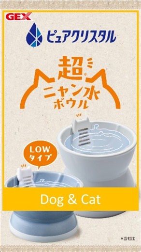 ピュアクリスタル 超ニャン水ボウルにLowタイプが新登場！波を起こして効率よく軟水に🐾💧