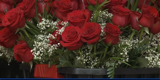 Lansing flower shop prepares for Valentine’s Day rush