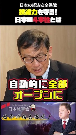 The four pillars of economic security and Japan's crisis #economic security #national security #a...