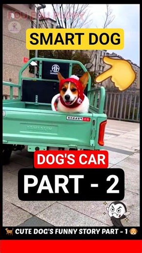 चिंटू डॉगी की नयी गाड़ी पार्ट 2 🐶 Cute dog funny reactions 😄 #funnydogs #dogvideos