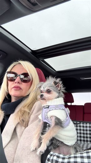 Celebrating Super Bowl Weekend with Dogs