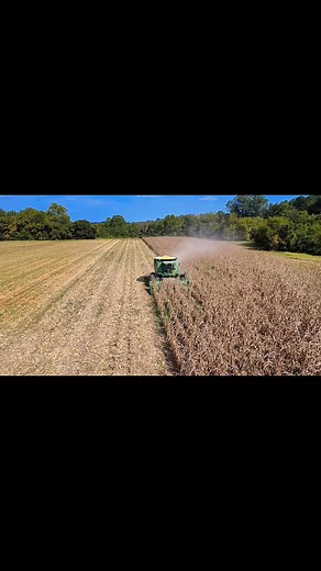 Harvesting Corn Waugh&Waugh Farms. #corn #johndeere | Cooper Hayward