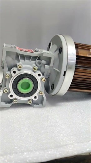 E Rickshaw BLDC Motor Convert to Heavy load High torque slow speed industrial Grade Worm Gear motor