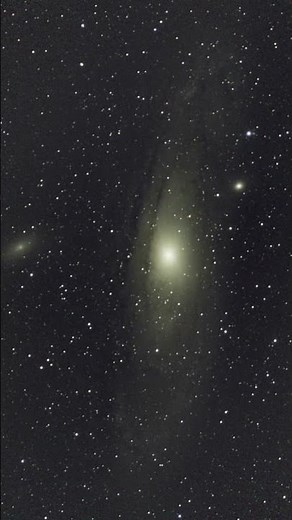 M31 (Andromeda Nebula) #andromeda #universe #galaxy #astrophotography #astronomy