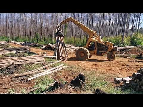 Bell logger