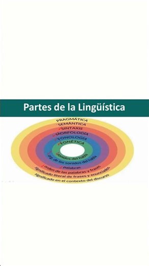 SPANISH 1 - Parts of Linguistics: Phonetics, Morphology, Syntax, Semantics
