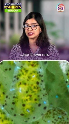 An animal that can do photosynthesis! Whaaat! #byjus #ytshorts