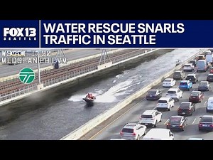 Water rescue on I-90 bridge stalls traffic as man jumps into Lake Washington