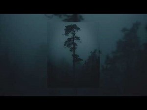 Novo Amor & Ed Tullett - Ontario (instrumental and slowed)