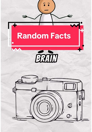 Intriguing Random Facts You Didn't Know About