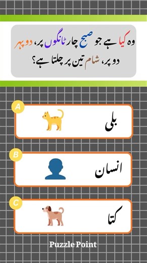 Interesting Riddles in Urdu/Hindi #shorts #fyp