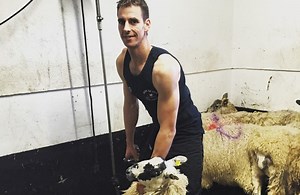 VIDEO: Donegal man beats world record for shearing sheep in fastest time