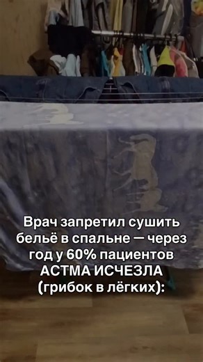 Контент-завод под ключ | Reels on Instagram: "1️⃣ В 2020 году в берлинской клинике Шарите пульмонолог Клаус Вебер принял женщину 45 лет с внезапной астмой. Год без причины, без генетики, без курения. Единственная деталь, за которую он зацепился, звучала буднично, она сушила бельё в спальне на батарее каждый день. Именно с этого началась цепочка, которая объяснила всё. 2️⃣ Анализ воздуха в спальне показал споры грибка Aspergillus в концентрации в 50 раз выше нормы. Одна стирка даёт около 2 литров