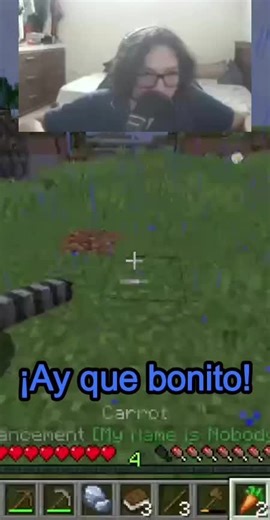 Mapache || Twitch M1_Garoh #twitch #stream #streamer #minecraft #mods #humor #parati #fyp #ecu #clip