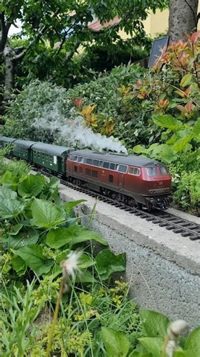 Did you see the missing door? #train #märklin #spur1