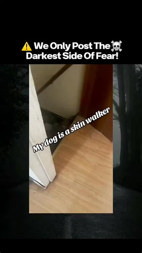 Mr.DarkifyX – Real-Life Nightmares on Instagram: "⚠️😨 I Found the Scariest Video on the Internet — Part 82 🕳️ (The voice knew his name.) It was a simple forest vlog. 🌲 Empty Trail: No people, no wind 🎥 Camera Pans: Trees perfectly still 🔊 Whisper Heard: Calling his name 👂 He Laughs Nervously: Says no one’s there 👣 Footsteps Sync: Matching his pace 📡 Mic Peaks: Breathing right behind him 😱 Final Frame: Camera drops — something steps into view Search teams found the camera. Not the vlogge