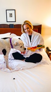 Leslie Bibb brings some zen to her Dream Date with the ultimate self care infused day 🧘‍♀️ We’re pairing celebrities and rescue animals up for the cutest blind date in our series Dodo Dream Date! In this episode, Leslie Bibb spends the afternoon with Dove. Special thanks to Leslie & Dove! Keep up with Leslie on Instagram: thedo.do/lesliebibb To Adopt Dove, visit: thedo.do/Dove and learn about more rescues Wallis Annenberg PetSpace Catch Leslie in HBO White Lotus, Season 3 premiering February 16